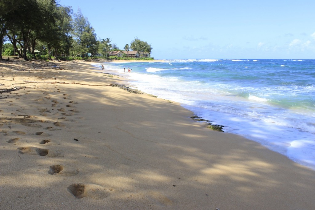 Hawaii Beaches