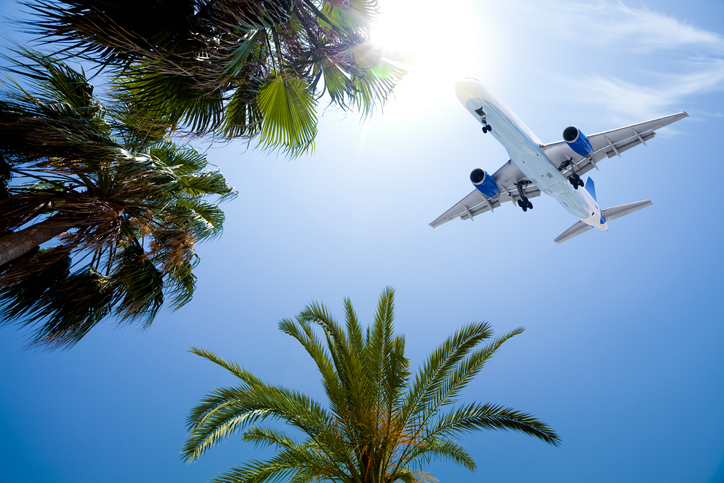 hawaii-flight-over-palm-trees