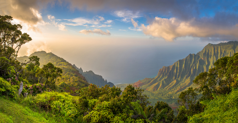 driving-in-hawaii