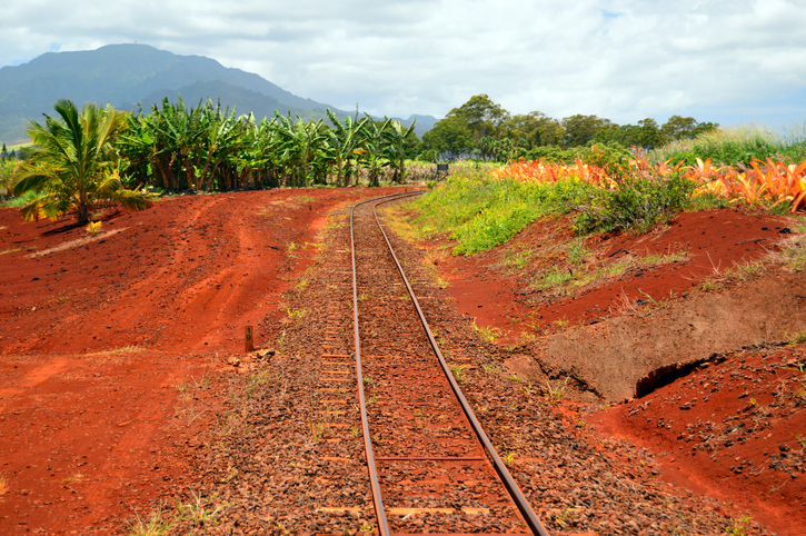 train-tracks-in-hawaii