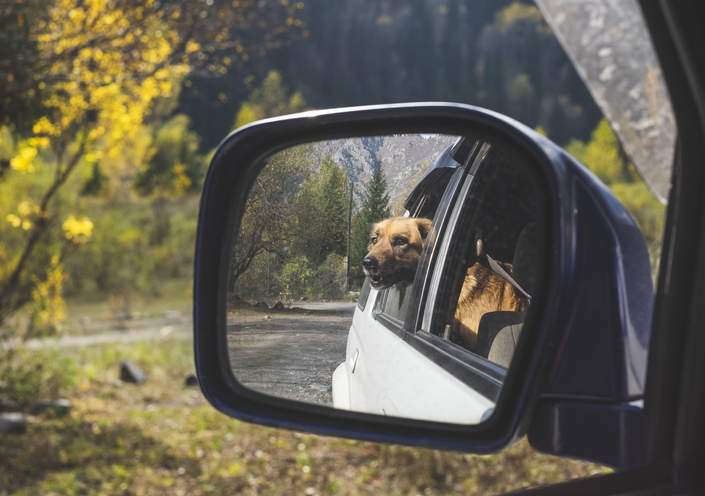 car-mirror-in-hawaii